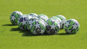 Calciostyle